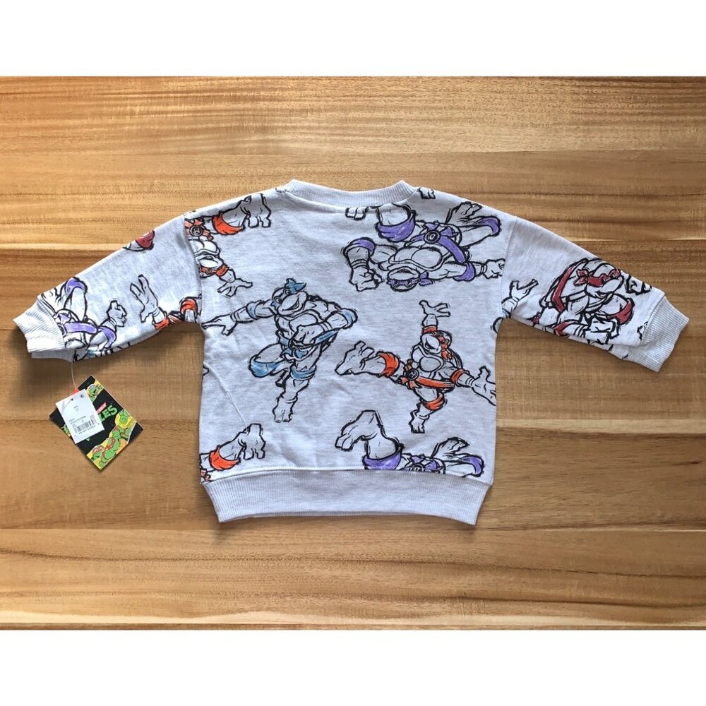Nickelodeon Teenage Mutant Ninja Turtles Kids Sweatshirt Gray Graphic Design 2T - Picture 3 of 8
